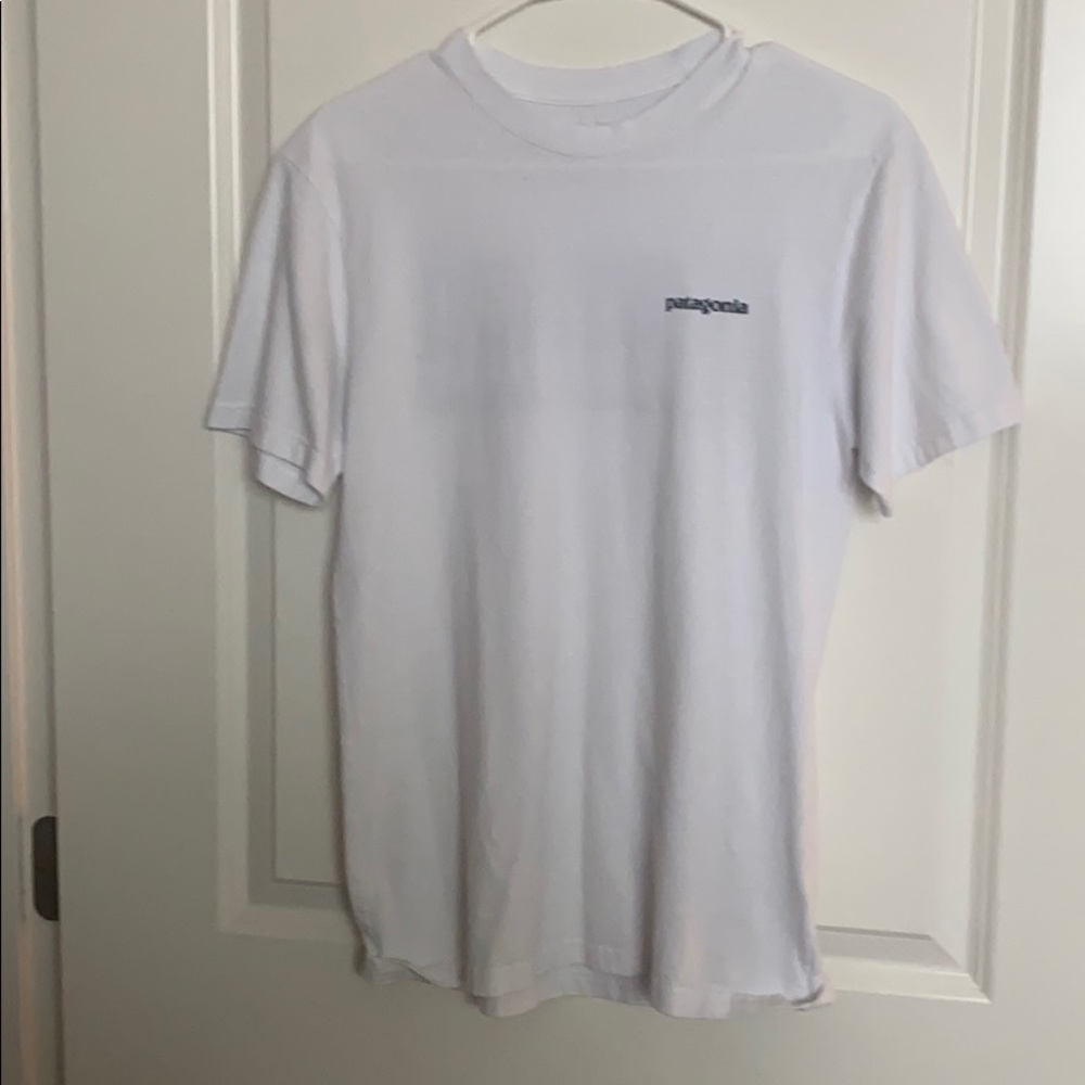 Patagonia tee